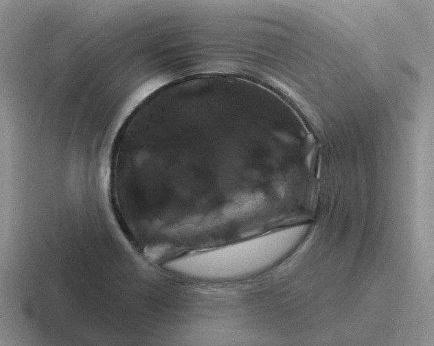 X0000116871418201001051436
