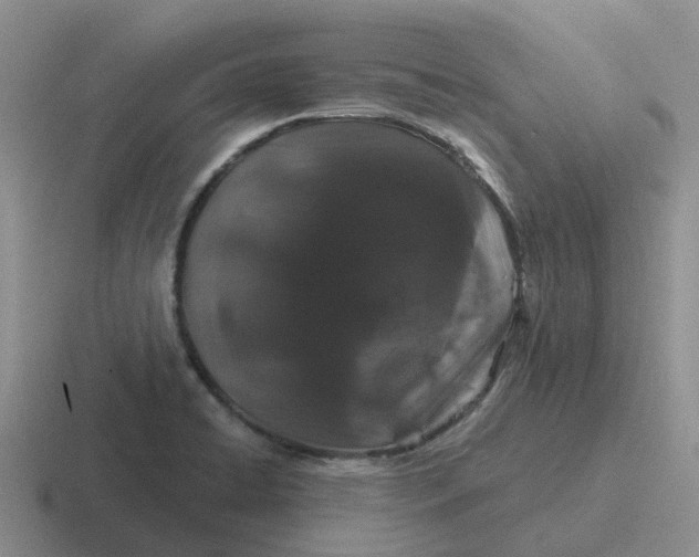 X0000116871422201001051436