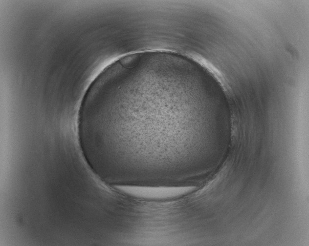 X0000116871423201001051436