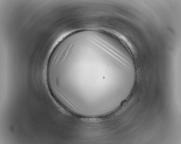 X0000116871432201001051436
