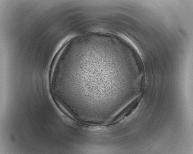 X0000116871434201001051436