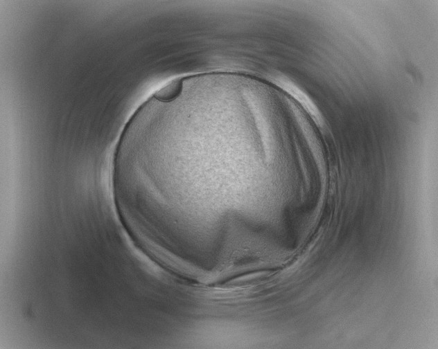 X0000116871439201001051436