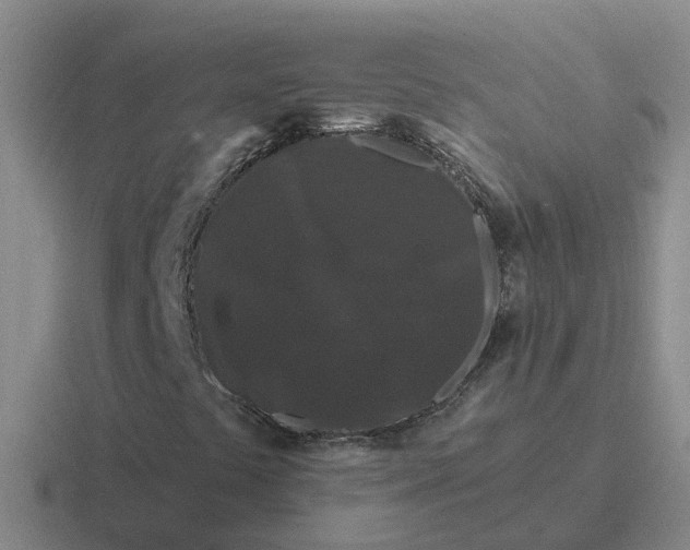 X0000116871441201001051435