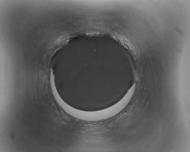 X0000116871445201001051435