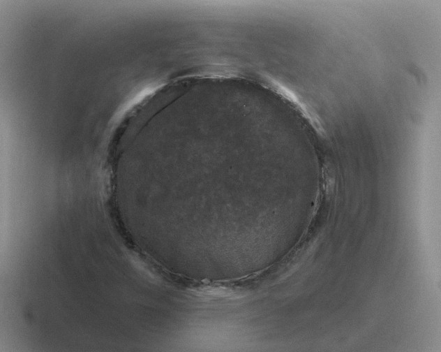 X0000116871448201001051435