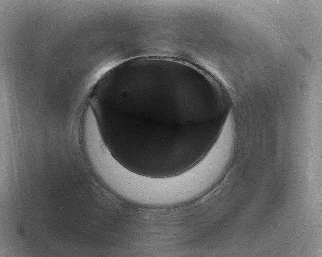 X0000116871455201001051435