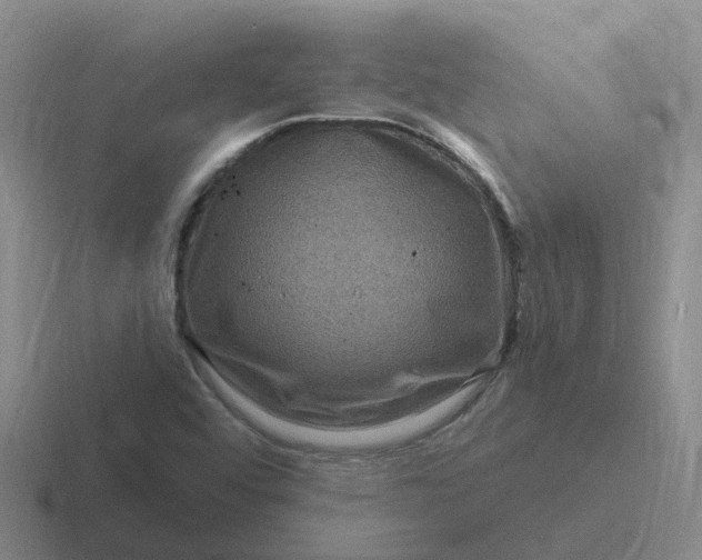 X0000116871456201001051435