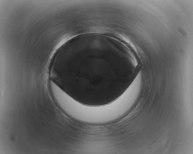X0000116871459201001051435