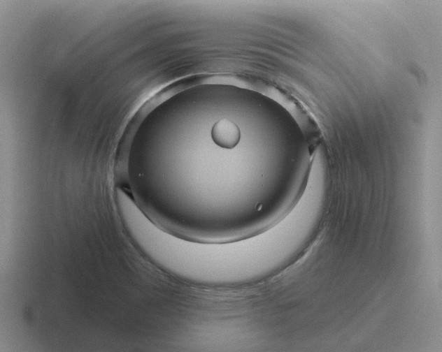 X0000116871465201001051435