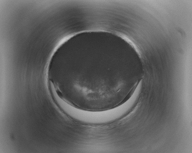 X0000116871469201001051435