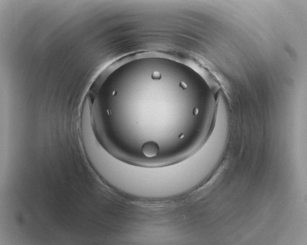 X0000116871473201001051435