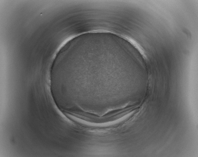 X0000116871476201001051435
