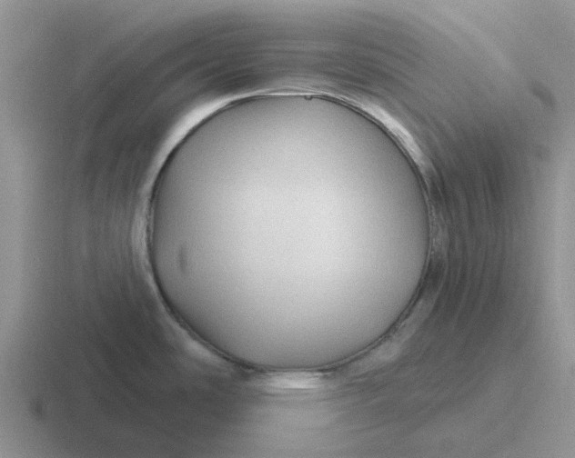 X0000116871486201001051435