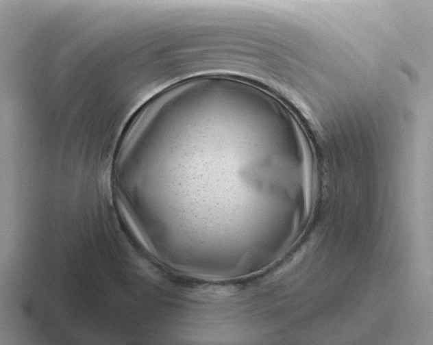 X0000116871513201001051434