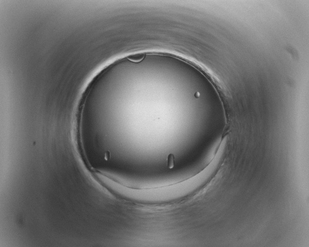 X0000116871518201001051434