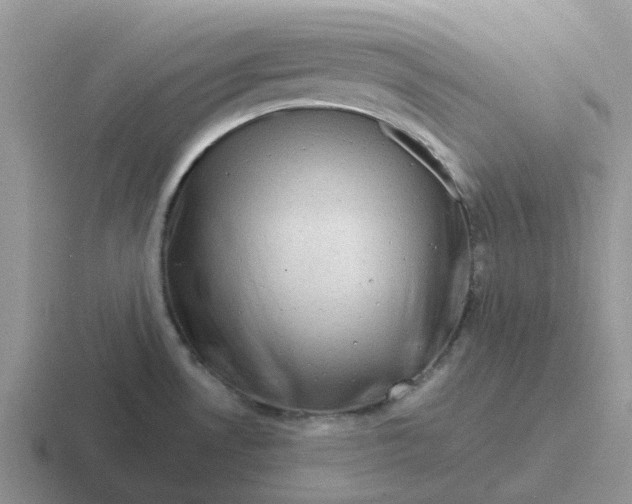 X0000116871530201001051434