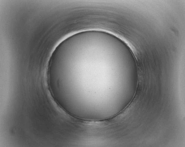 X0000116871534201001051435