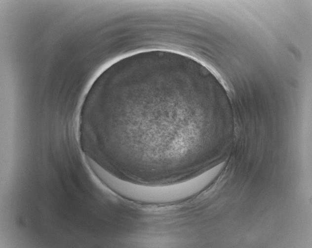 X0000116871535201001051435