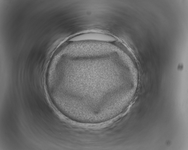 X0000116870001201001121311