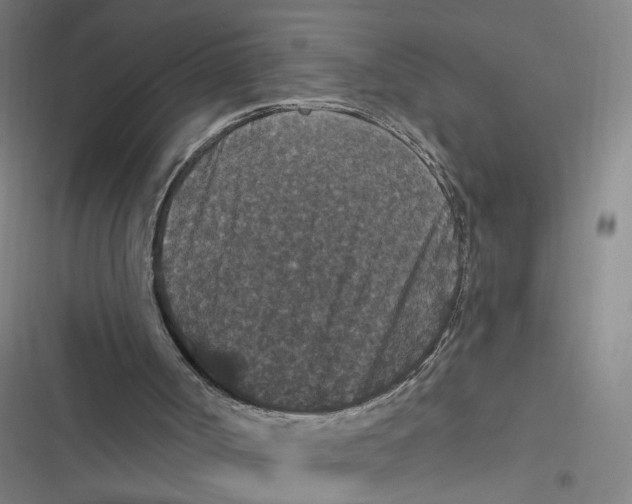 X0000116870002201001121311