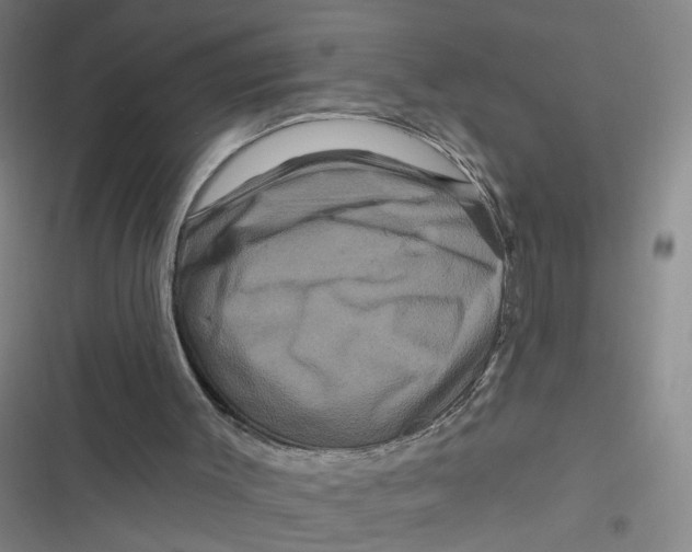 X0000116870003201001121311