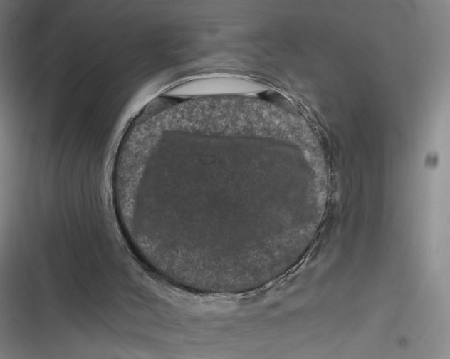 X0000116870004201001121311