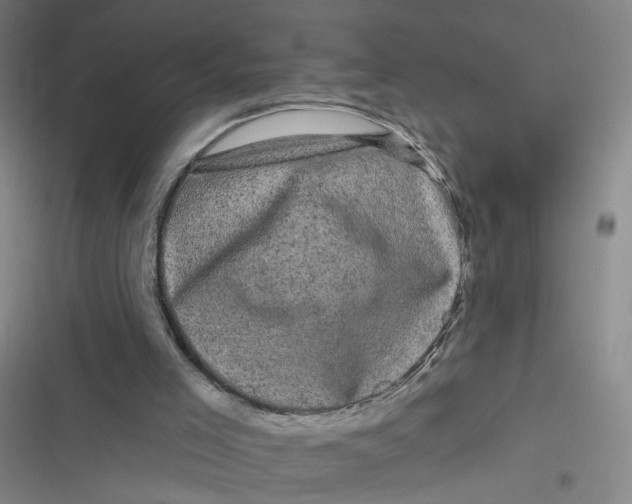 X0000116870005201001121311