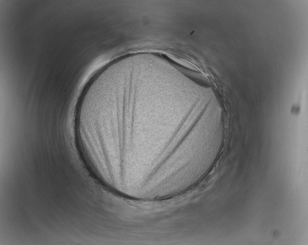 X0000116870006201001121311