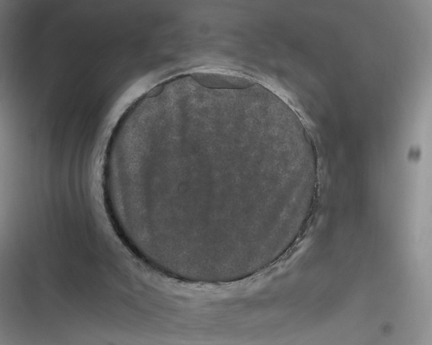 X0000116870007201001121311