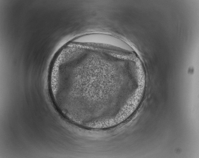 X0000116870008201001121311