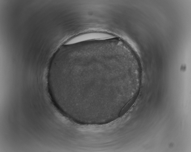 X0000116870009201001121311