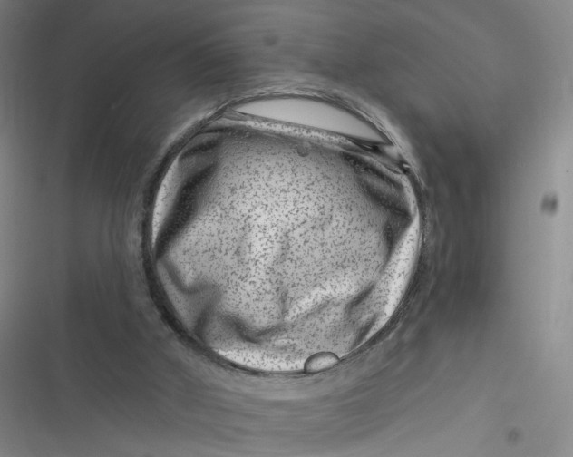 X0000116870010201001121311