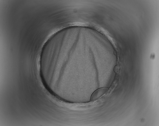 X0000116870011201001121311