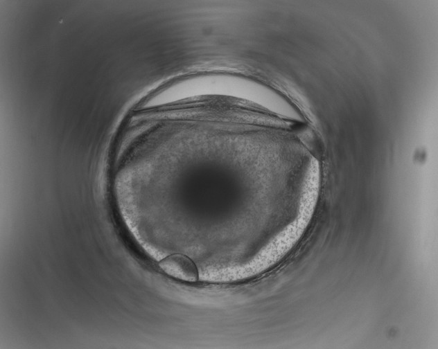 X0000116870012201001121311