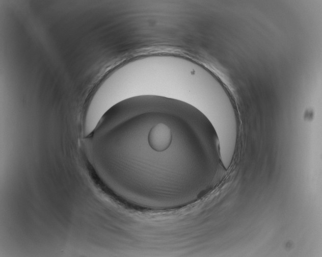 X0000116870013201001121311