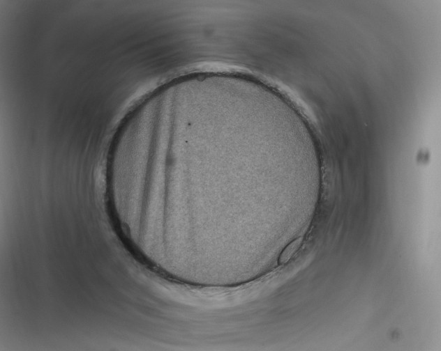 X0000116870015201001121311