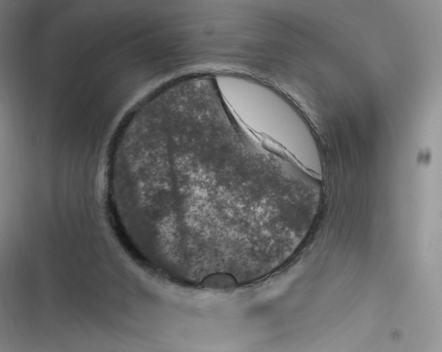 X0000116870016201001121311