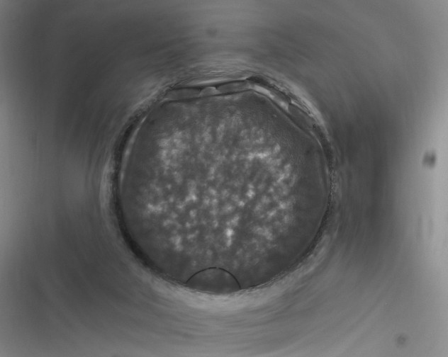 X0000116870018201001121311