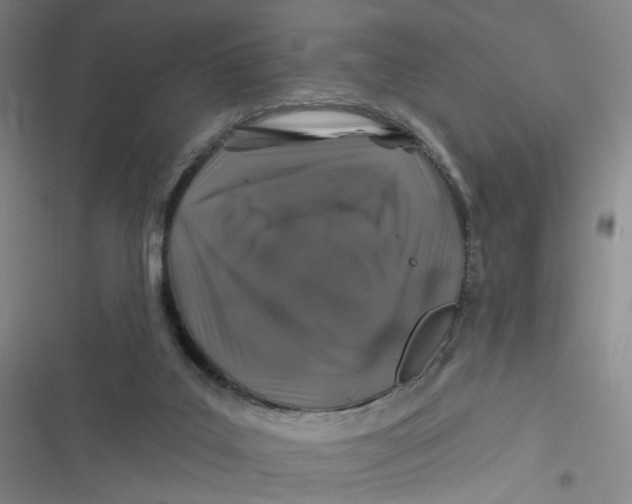 X0000116870019201001121311