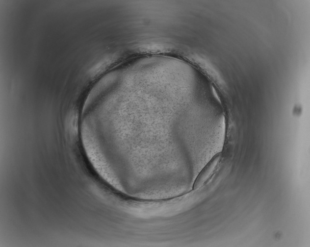 X0000116870021201001121311