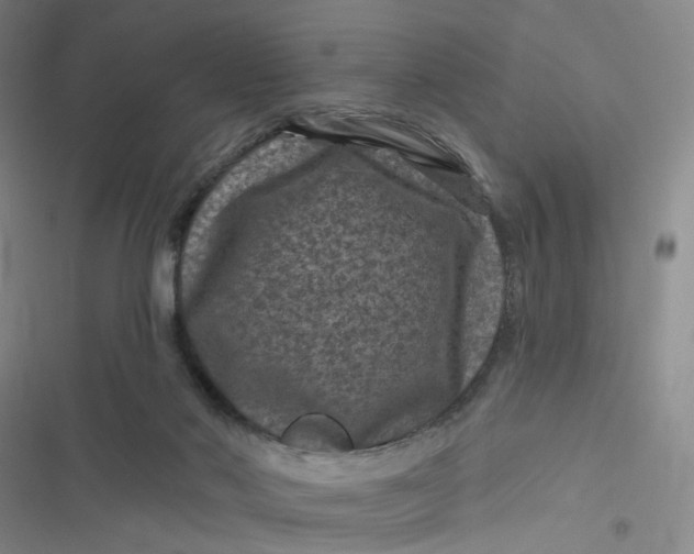 X0000116870022201001121311