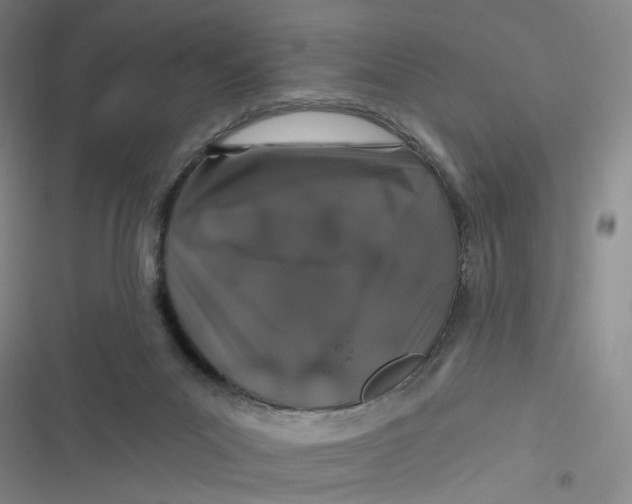 X0000116870023201001121311
