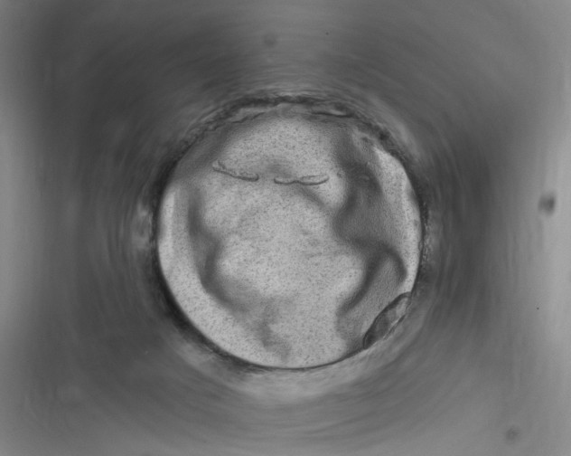 X0000116870025201001121311