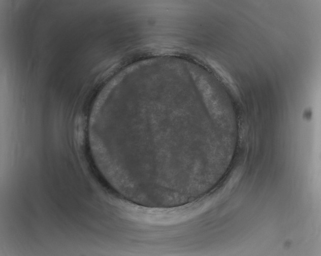 X0000116870026201001121311