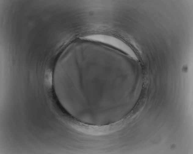X0000116870027201001121311