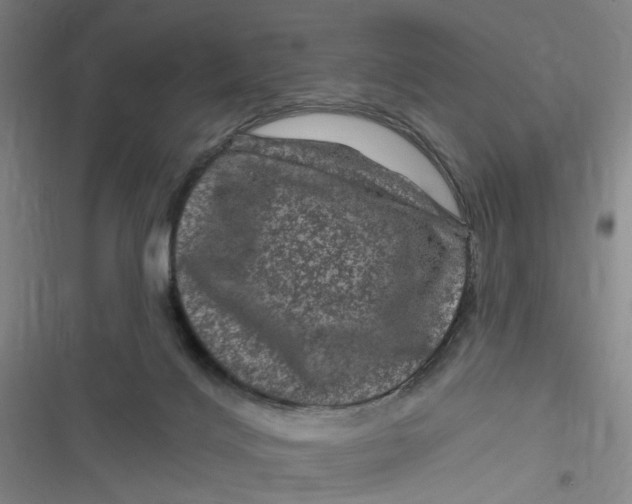 X0000116870028201001121311