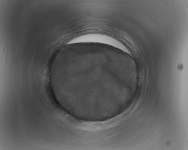 X0000116870029201001121311