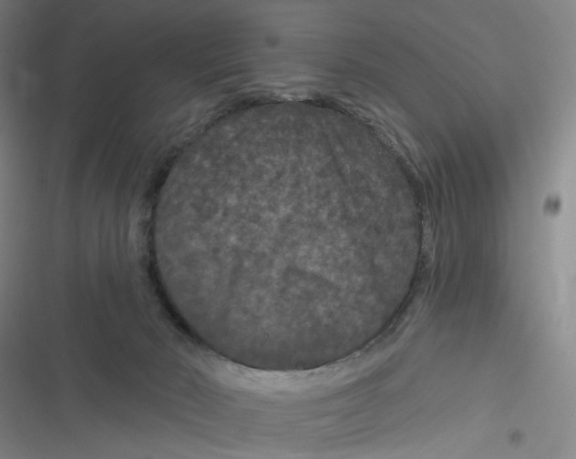 X0000116870030201001121311