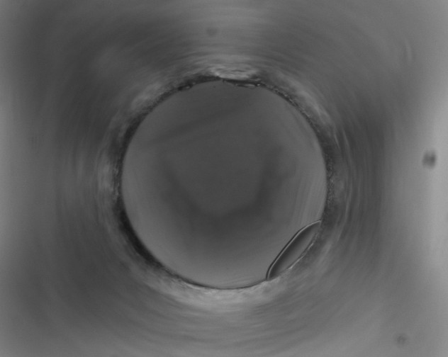 X0000116870031201001121311