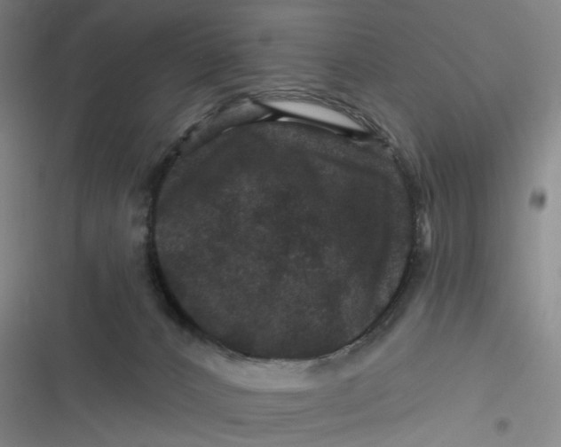 X0000116870032201001121311
